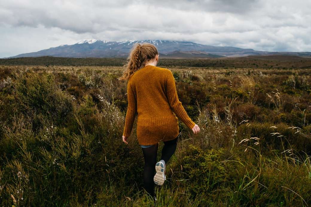 kobieta spaceru w polu trawy pod chmurami stratocomulus puzzle online