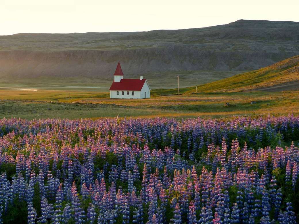 Kościół w dzikiej Islandii puzzle online