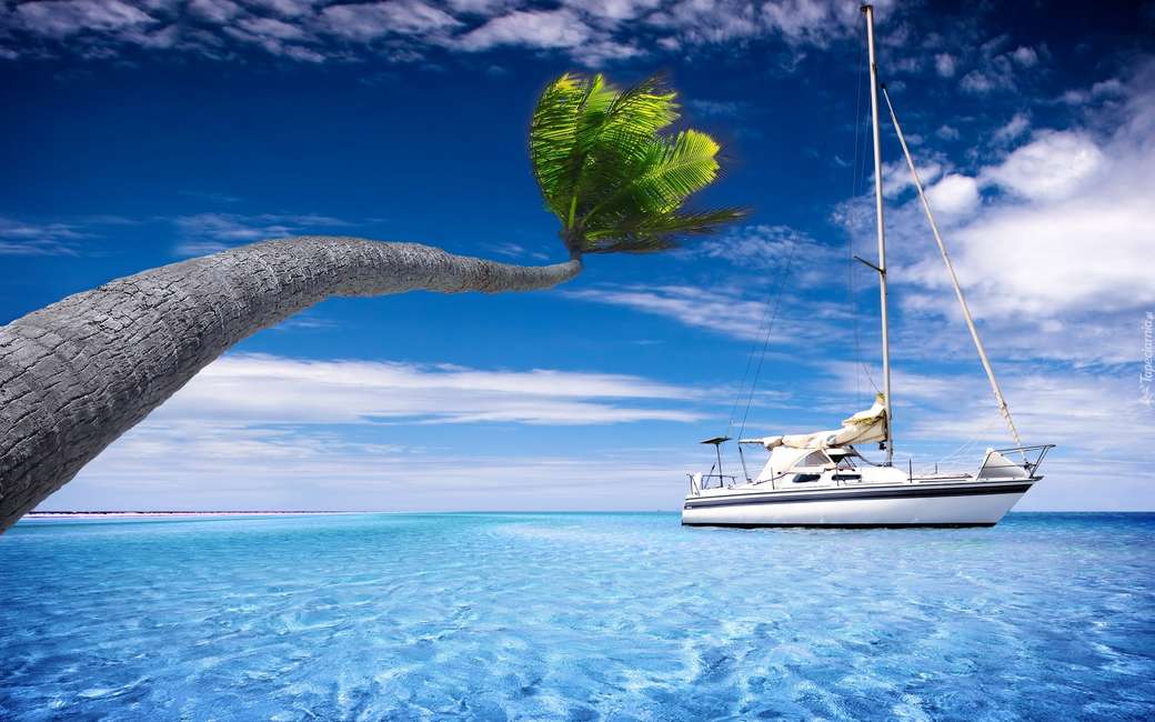 jacht na morzu, palma puzzle online