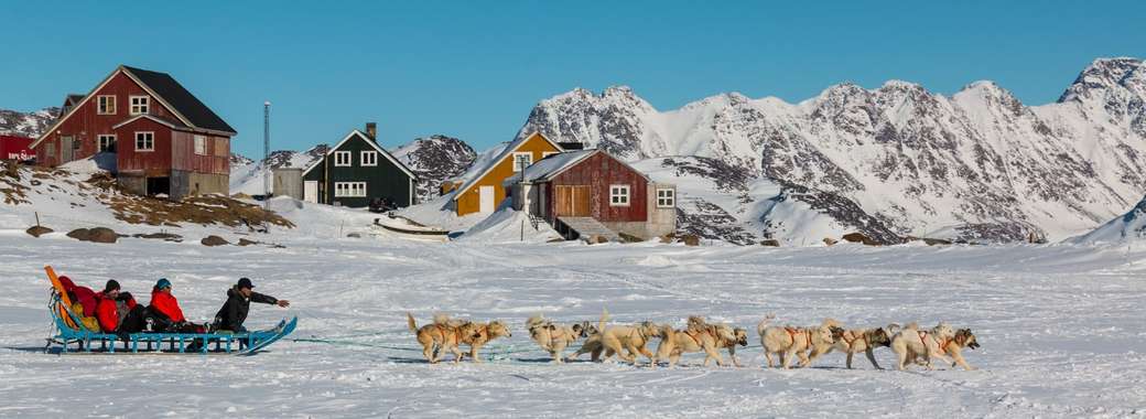 Psy husky jako psy zaprzęgowe na Grenlandii puzzle online