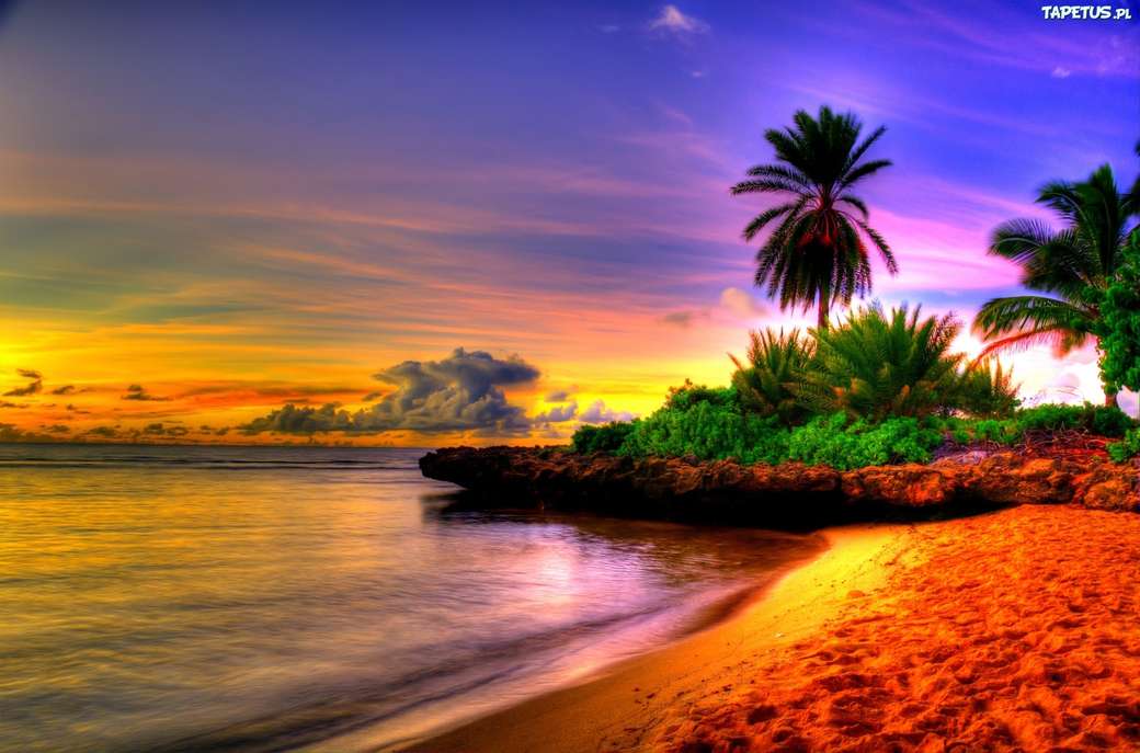 morze, plaża, zachód słońca puzzle online