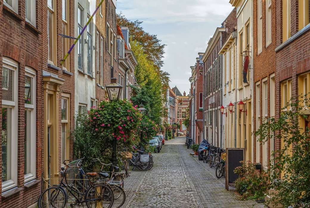 Miasto Leiden w Holandii puzzle online
