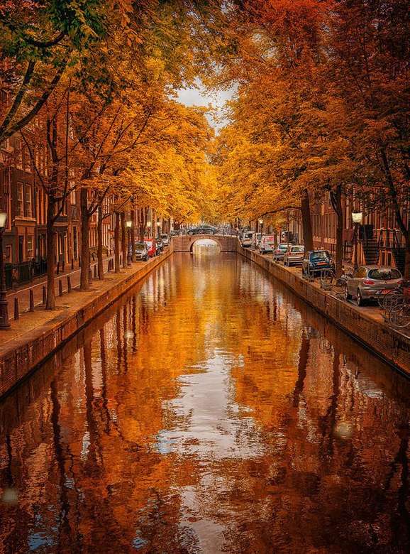 Amsterdam jesienią puzzle online
