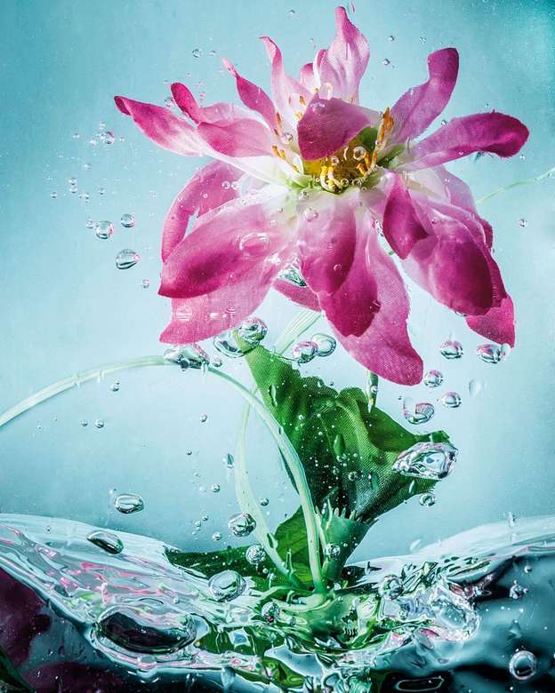 kwiat w wodzie puzzle online