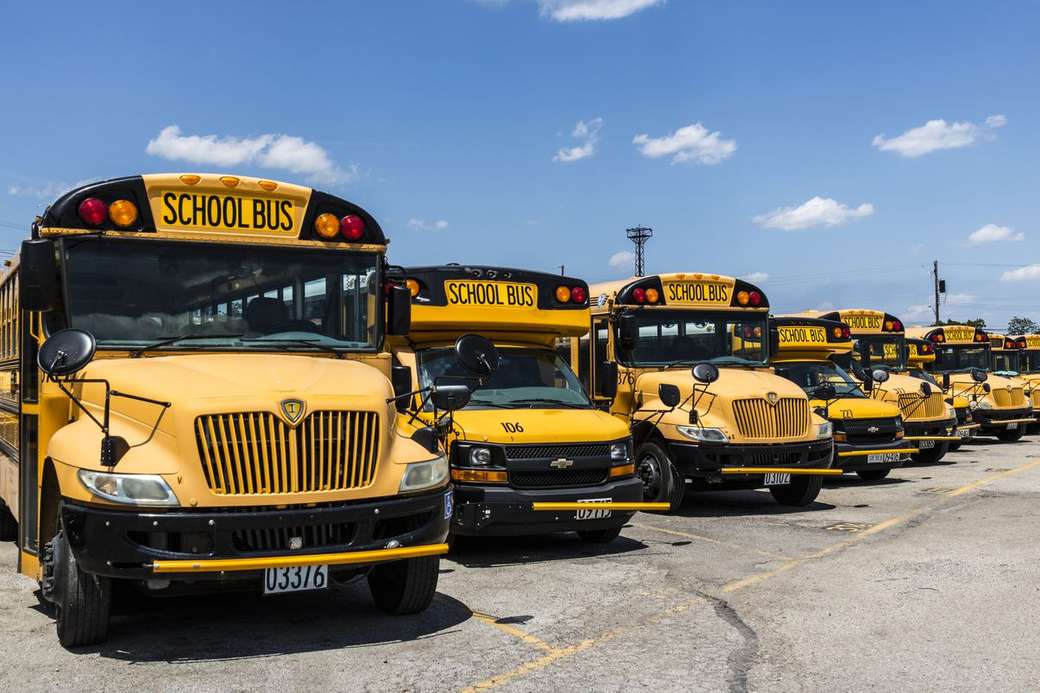 szkolne autobusy puzzle online
