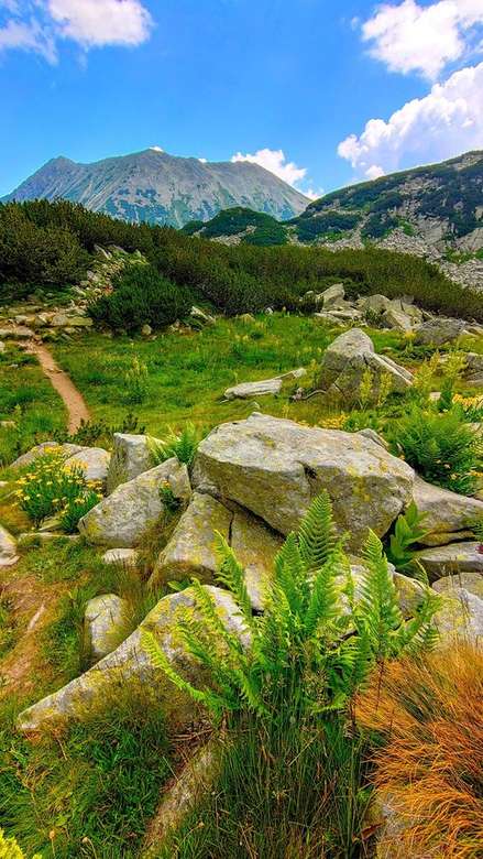 góra - piękna przyroda puzzle online