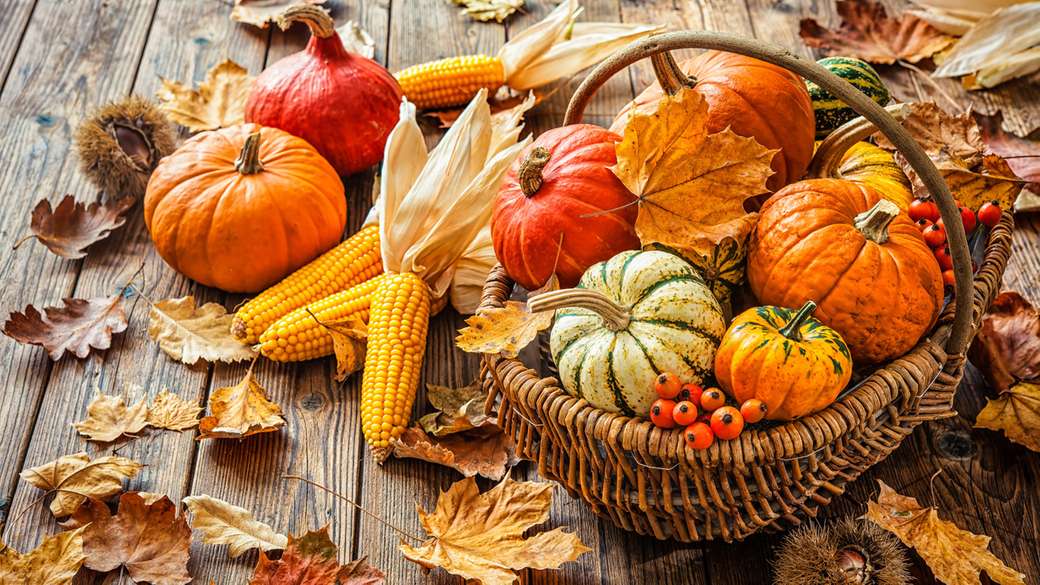 Jesień to czas dziękczynienia zbiorów puzzle online