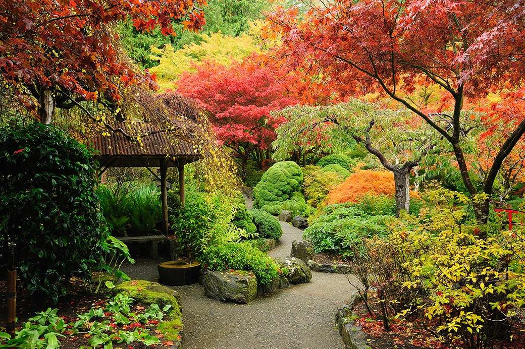Ogród w jesiennym stroju puzzle online