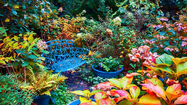 W ogrodzie nadchodzi jesień puzzle online