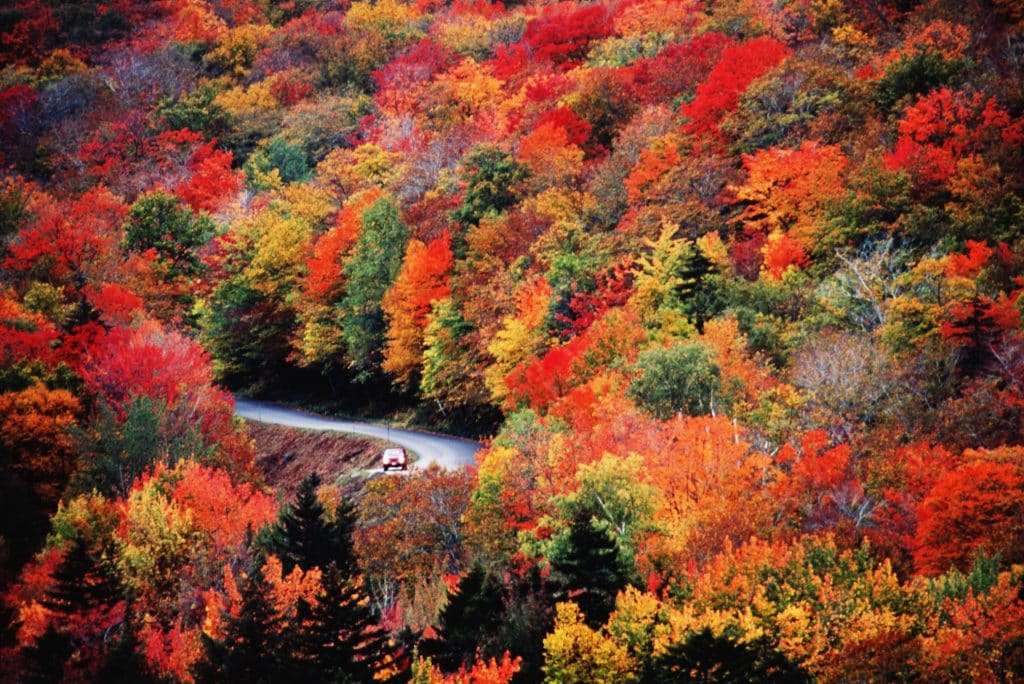Przejedź przez piękny jesienny krajobraz puzzle online