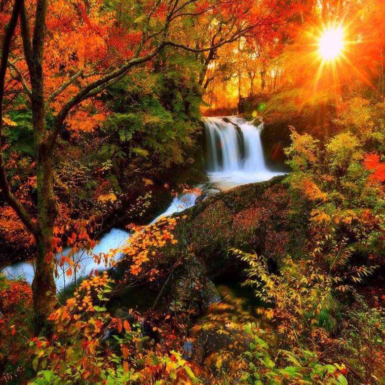 Jesienny krajobraz z wodospadem puzzle online