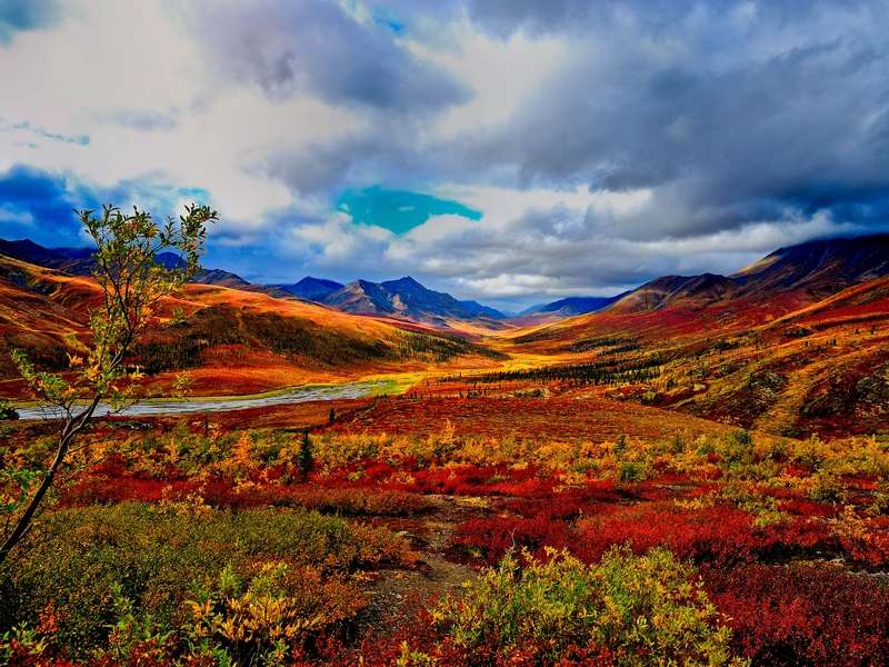 Jesienny krajobraz w Kanadzie puzzle online