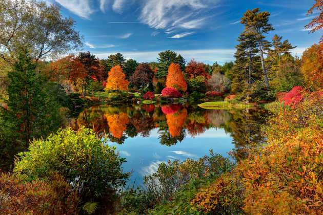 Jesienny krajobraz w stanie Maine w USA puzzle online