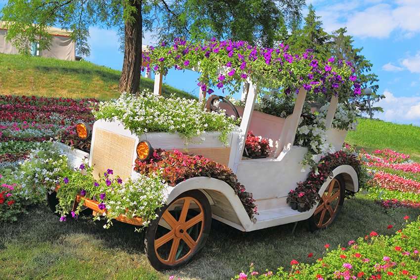kwienik (samochód) na kwiaty puzzle online