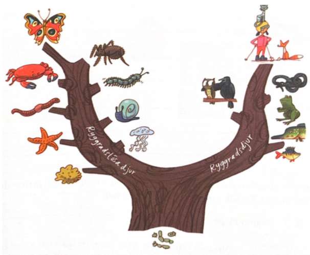 Drzewo genealogiczne zwierząt puzzle online