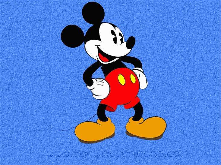 Mickey ..... legpuzzel