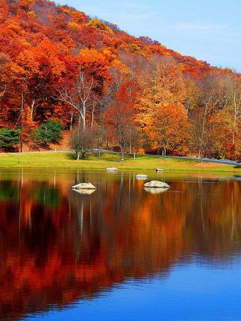 Kolorowy krajobraz jesień puzzle online