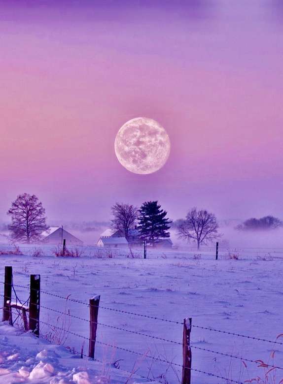Violette hemel met volle maan in de winter puzzel