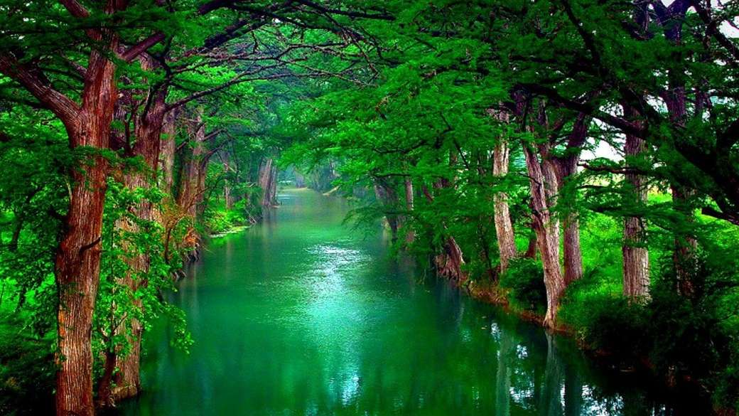 Drzewa nad wodą na zielono puzzle online