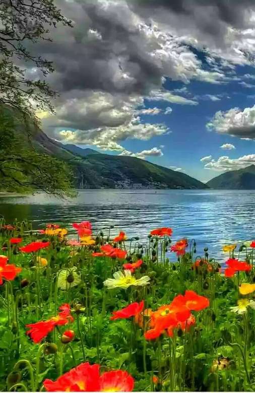 Łąka kwiatowa nad jeziorem z górami puzzle online