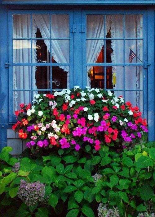 Niebieskie okno z kwiatami puzzle online