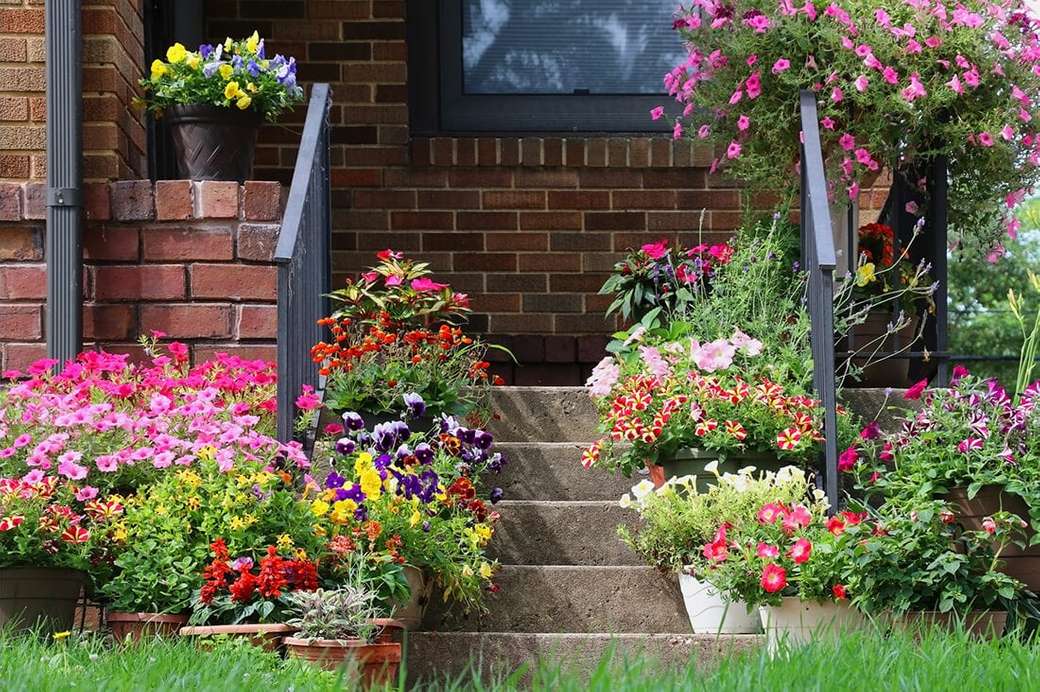 Obfitość kwiatów przed domem puzzle online