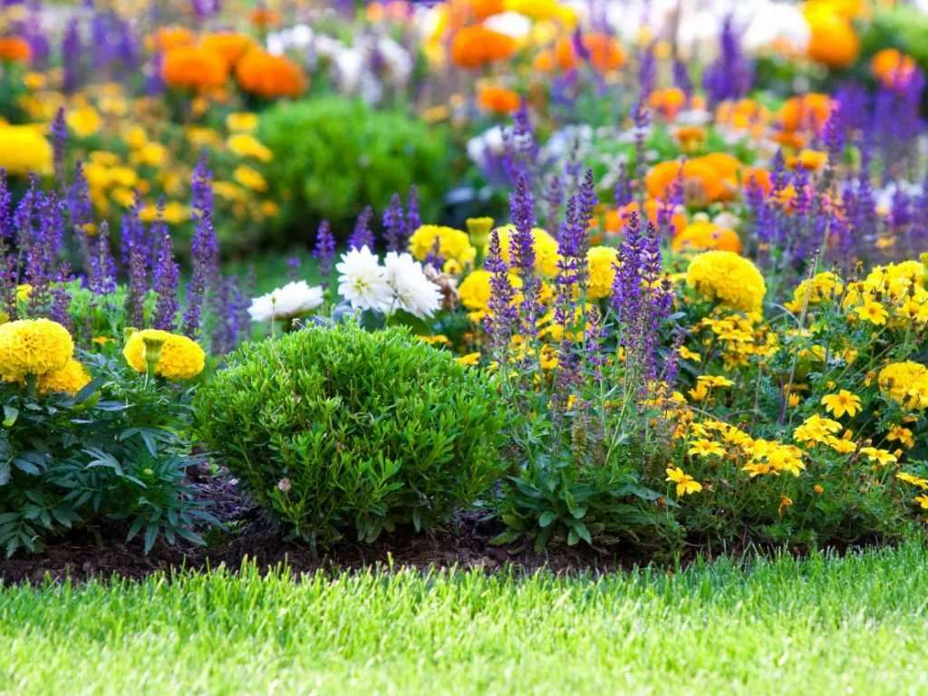 Kolorowe kwiaty w ogrodzie puzzle online