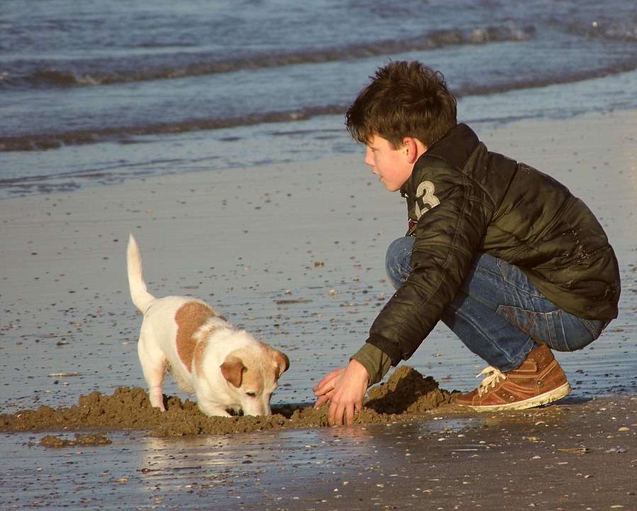 zabawa z pieskiem na plaży puzzle online