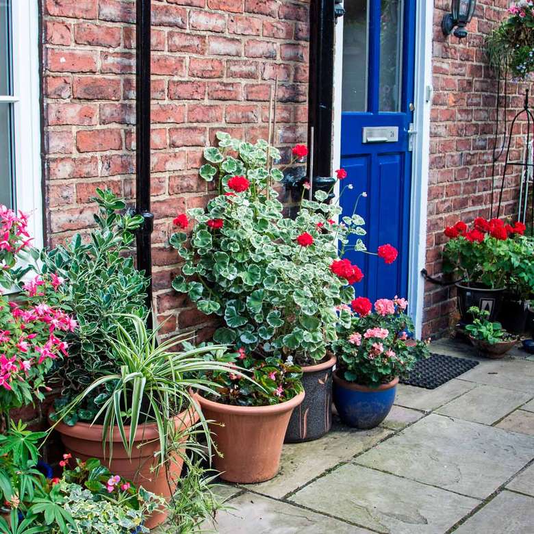 Wejście do domu z kwiatami i roślinami puzzle online