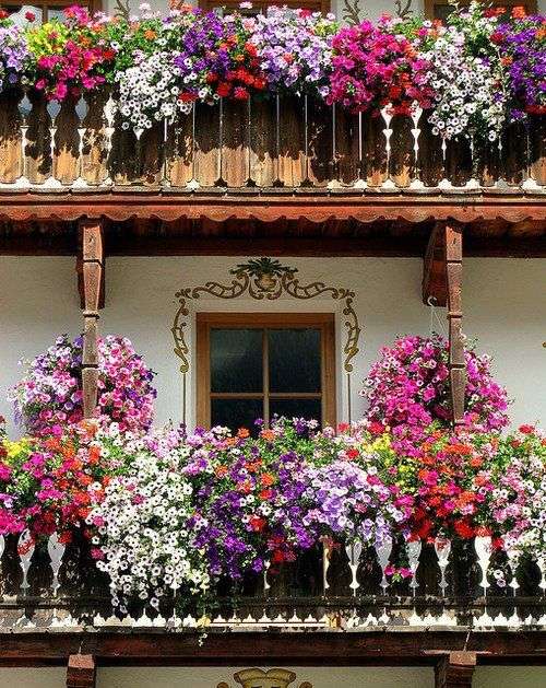 Obfitość kwiatów na balkonach puzzle online