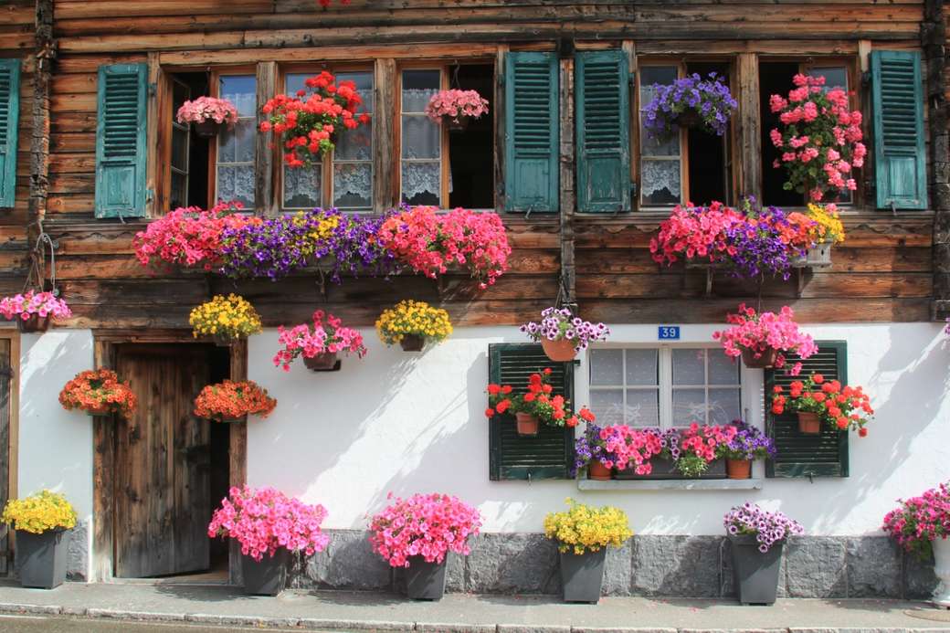 Kolorowa obfitość kwiatów na domu puzzle online
