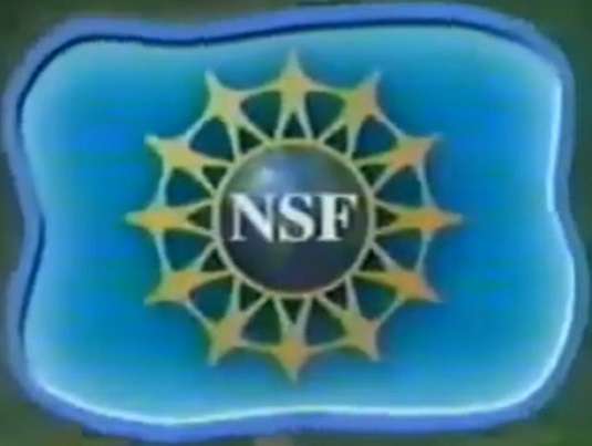 n jest dla nsf puzzle online