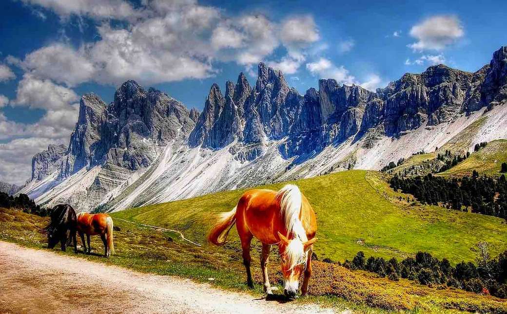 Dzikie konie w Dolomitach puzzle online