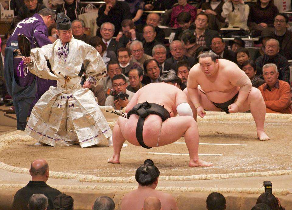walka sumo puzzle online