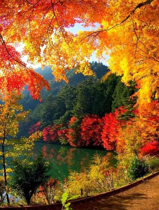 złote kolory jesieni puzzle online