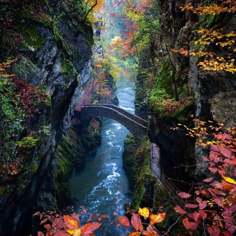 most nad strumieniem z jesiennych liści puzzle online