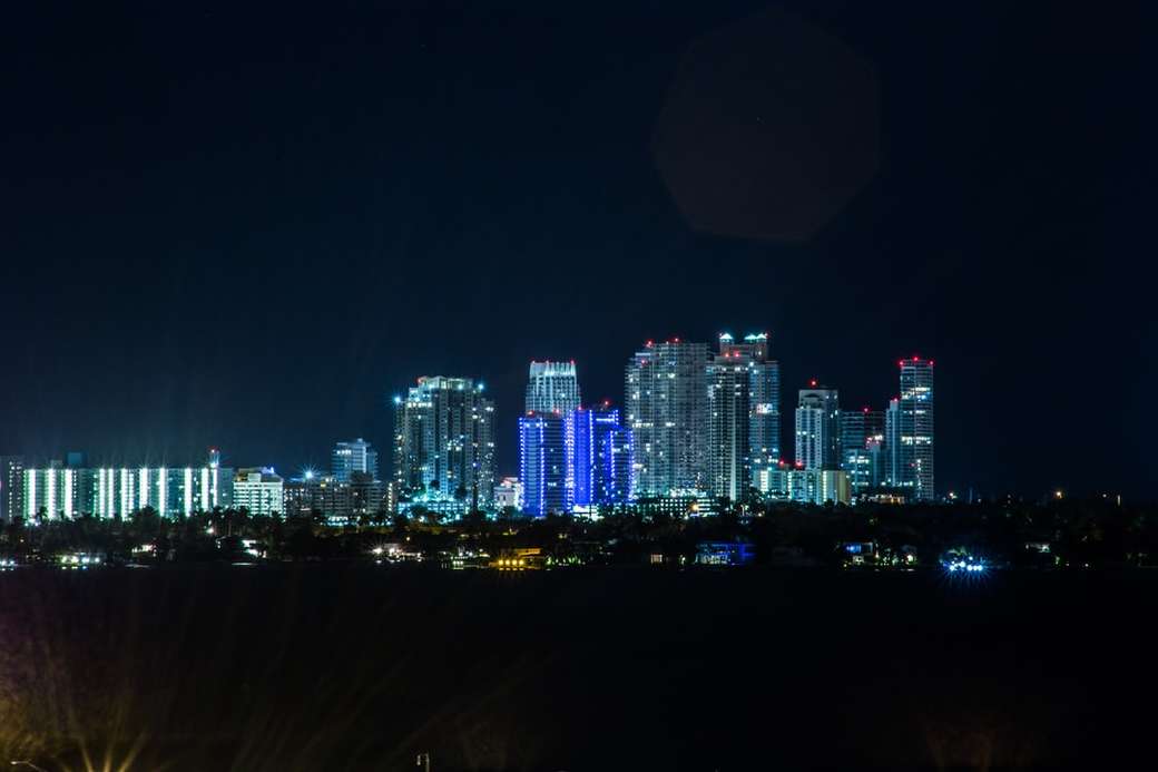 Śródmieście Miami na Florydzie puzzle online