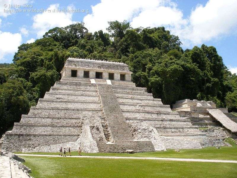Strefa archeologiczna Chiapas puzzle online