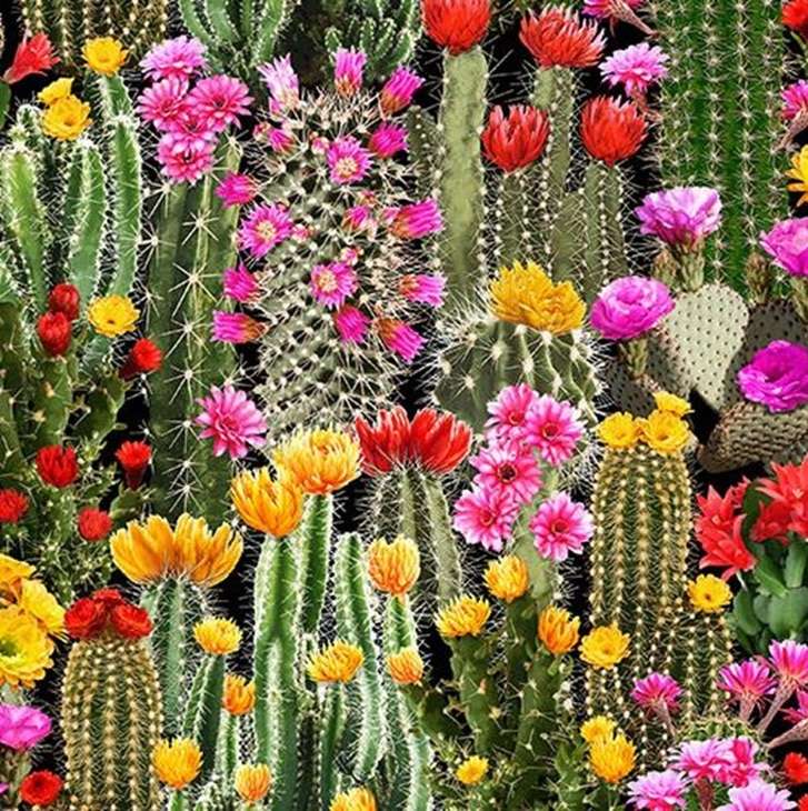 kaktus z kwiatami puzzle online