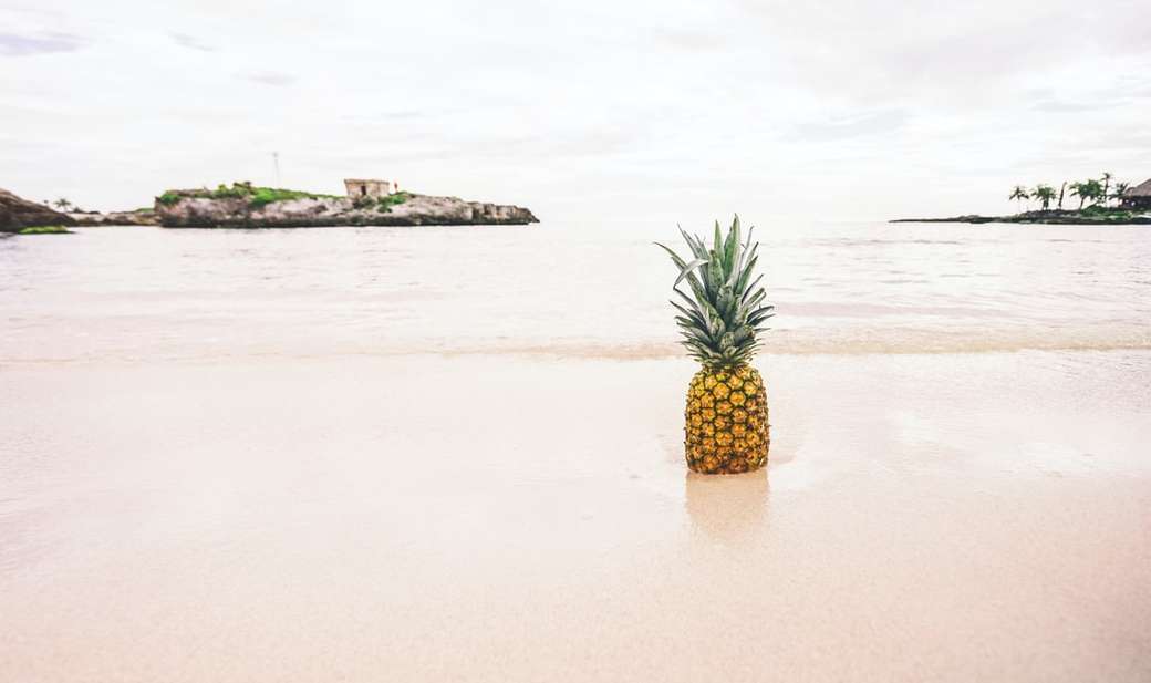ananas na fotografii brzegowej puzzle online