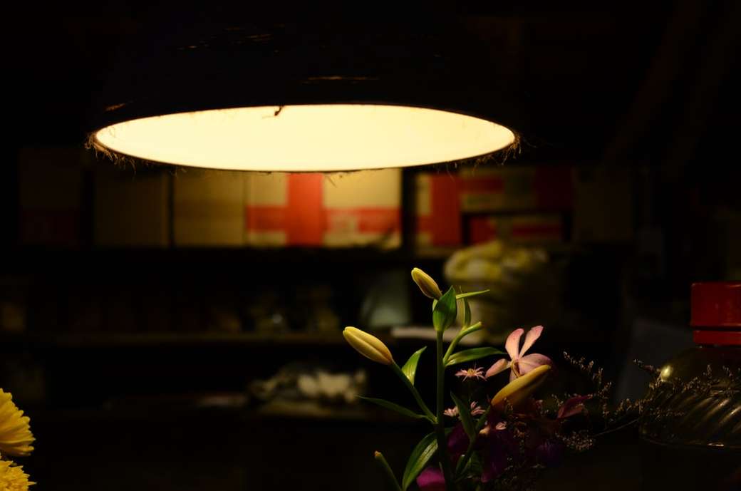 selektywna fokus fotografia orchidei puzzle online
