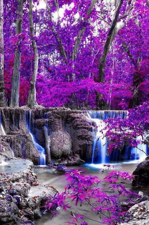 Purpurowe drzewa i wodospad puzzle