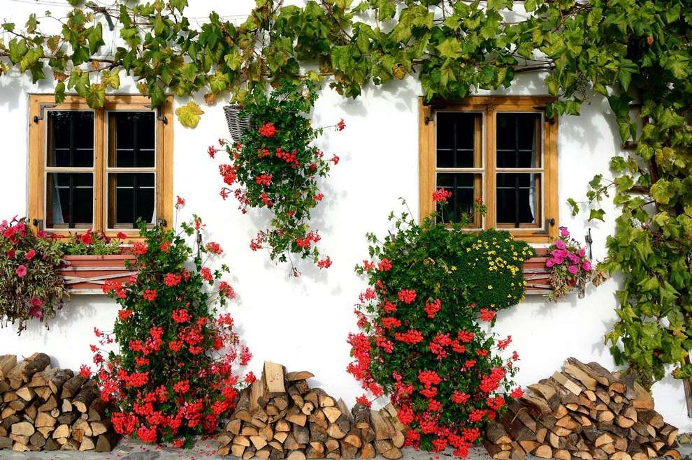 Dom wiejski z pelargoniami puzzle online