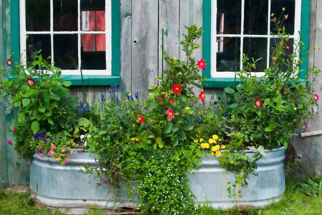 Wanna cynkowa z roślinami przed domem puzzle online
