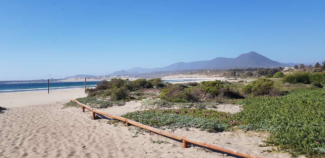 Plaża Pichidangui w Chile puzzle online