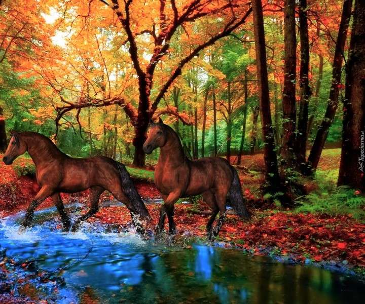 Konie W Lesie, Jesień puzzle online