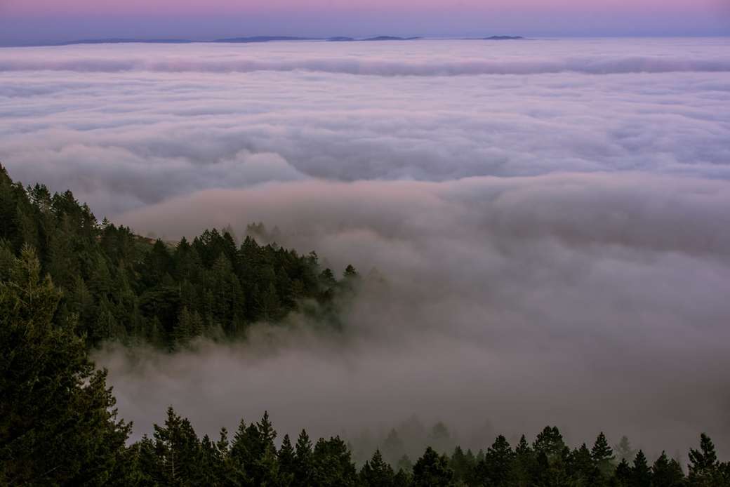 Niska mgła pokrywająca górę Tamalpais puzzle online