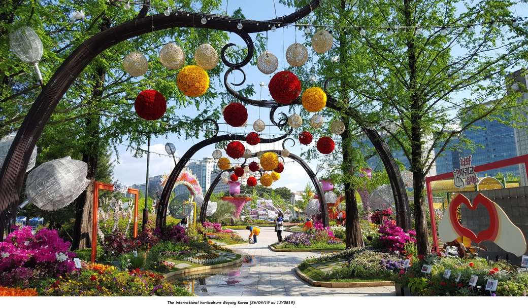 Międzynarodowa Korea ogrodnicza puzzle online