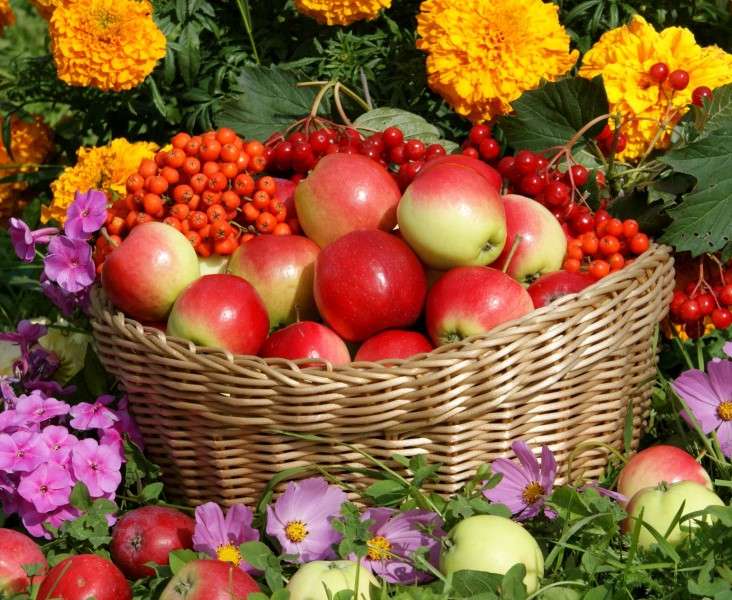 Jabłka w Koszyku I Kwiatki puzzle online