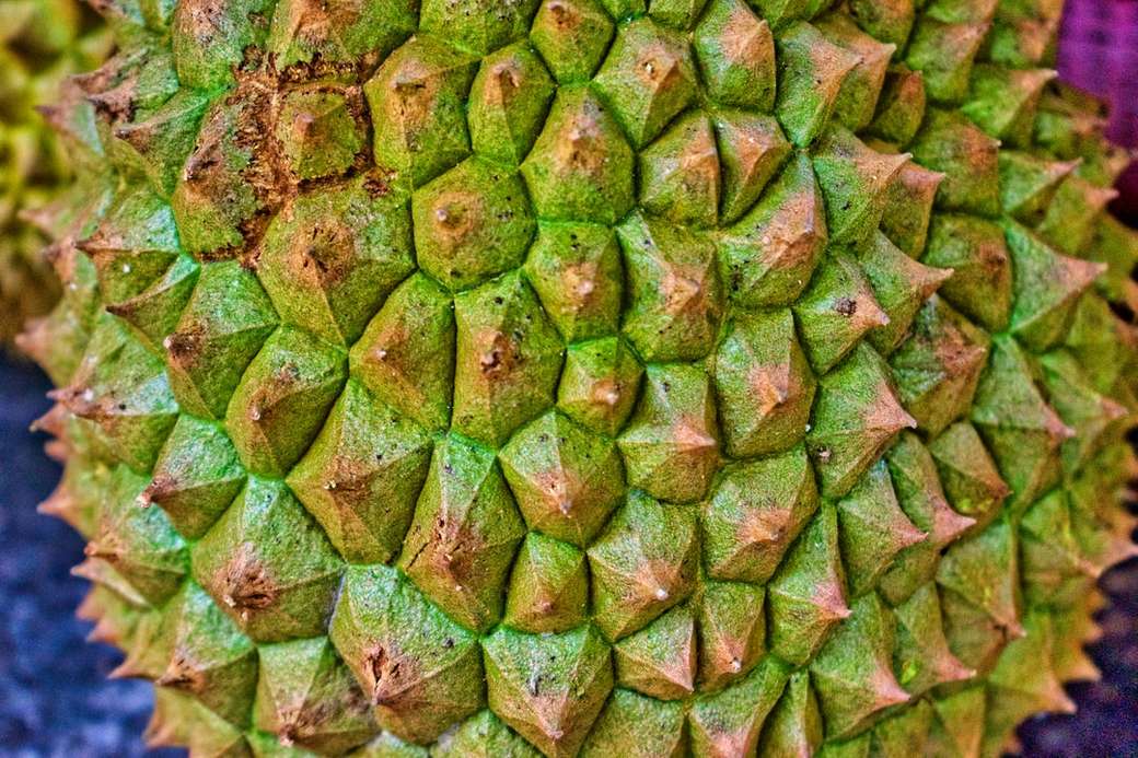 Owoc Durian puzzle online